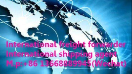 China freight forwarder;Shipping booking;Amazon  business;DDU/DDP;Container transport;Air transport&express - shipping booking