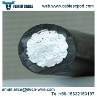 Overhead Insulated Cable - 01