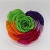 10cm Big Heart-Shape Preserved Rainbow Rose Flower - NTN9R003