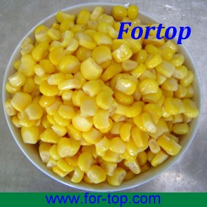 Canned sweet corn kernel with good price - CSC-004