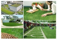 C Shpaed Green Brown Landscape Artificial Grass For Residential Cole 35mm