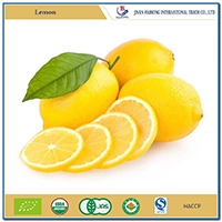 1、product name:lemon/ Fresh lemon2、color:Yellow, light green3、Taste:sweet4、Type of cultivation:common5、origin:Sichuan, China6、Packaging and quantity:15kg carton/ 40RH: 1700 cartons 18kg carton/ 40RH7、Standard sizes:75,88,100,113,125,138  8、net weight:10kg / 15kg carton9、port of loading:Shenzhen port, China10、Supply period:From September to the next May11、Shelf life:6-8 months.12、delivery time:Within 10 days after order confirmation