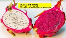 SELL DRAGON FRUIT.skype: lyly hxcorp