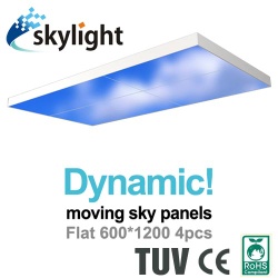 SKYLIGHT LED PANEL LIGHT 600X1200 80W
