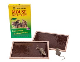 Mouse Glue Trap - R-101, R-103