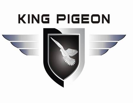 King Pigeon security alarm CO.,Ltd