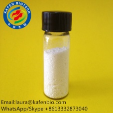 58-22-0 Muscle Body Building Anabolic Steroids Powder Testosterone Base - 58-22-0