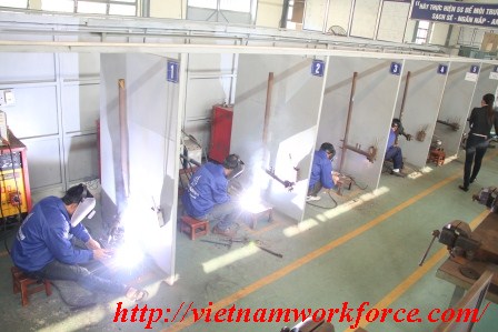 Vietnam Workforce Supplier