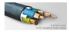 0.6/1kV XLPE Insulated Cable - 2