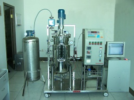 Anaerobic sludge bioreactor