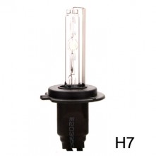 H7 Single lamp