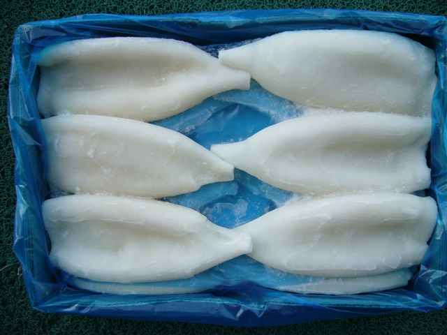 frozen squid tube   Species: Illex Argentinus
