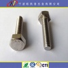 Stainless 304 hex bolts