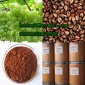 grape seed extract OPC95%