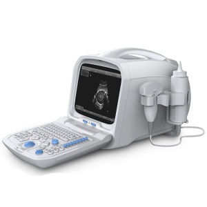 Portable ultrasound diagnostic device