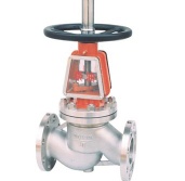 Oxygen globe valve