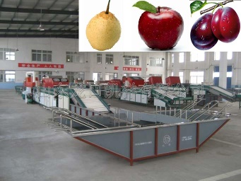 fruit cleaning and waxing machine