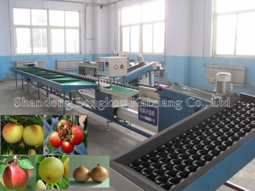 computer controlled fruit grading machine