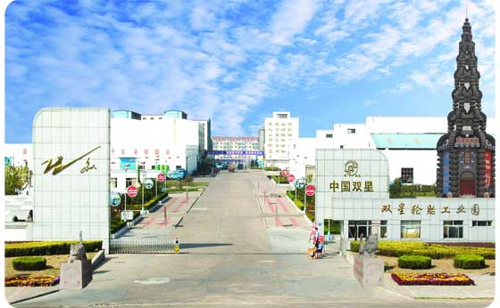 Qingdao Doublestar Tire Industrial Company