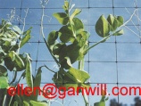 Plant Support Netting