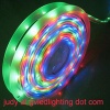 Waterproof/Non-waterproof Flexible LED Christmas Lights with SMD3528/5050 LEDs and 12/24V DC Voltage