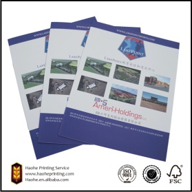 Company Brochure Print - Company Brochure