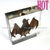 2012 Hot selling insects paperweight Bat in lucite acrylic block