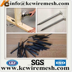 Wholesale common nails/iron nails for construction.