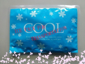 ice pack for refrigeration transportation - ice pack002