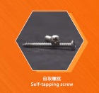 stainless steel Self-Tapping Screws