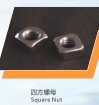 Stainless Steel Nuts - nut