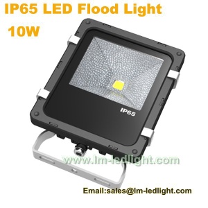 RGB Colorful COB 10W LED Reflector with Waterproof LED Flood light IP65