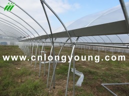 Tunnel-Connected Greenhouse