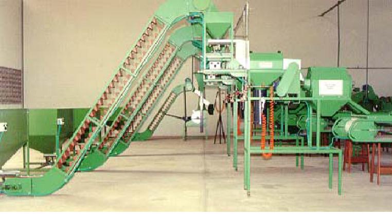 cashew machine shelling machine cashew processing processing of cashew processing machinery processing machine cashew nut