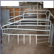 picture of pig breeding equipment