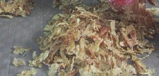 Dried Nile Perch Fish Maw Wholesale