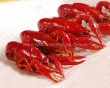 Frozen cooked whole crayfish seasoned - shenlu20122