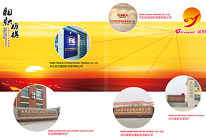 Hebei Shineyondmetal Products Co., Ltd
