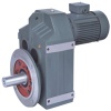 F series parallel shaft helical gear reductor