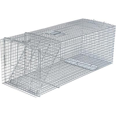 foldable trap cage