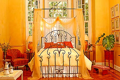 Canopy iron bed