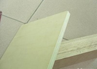 Polpar plywood