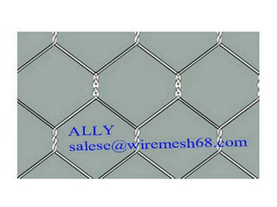 Hexagonal Twisted Wire Mesh
