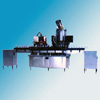 Washing, Bottling and Capping Machine
