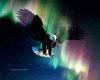 Eagle Aurora - DA109