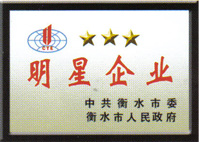 Anping Changxing Industrial Co., Ltd