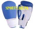 Martial Art Shoes - SCW-4521