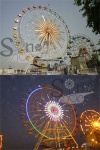 [Sinofun Rides] amusement park rides(42m ferris wheel)