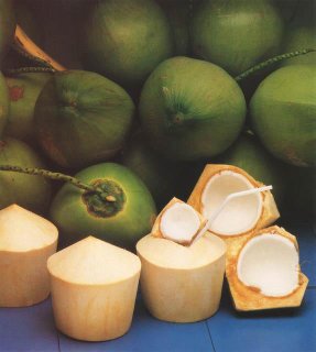 Importers brands - Coconut Water