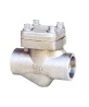 forged steel check valves - check valve